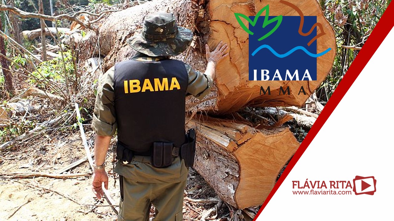 Concurso IBAMA: 568 autorizadas! ( Post material GRÁTIS de planejamento)