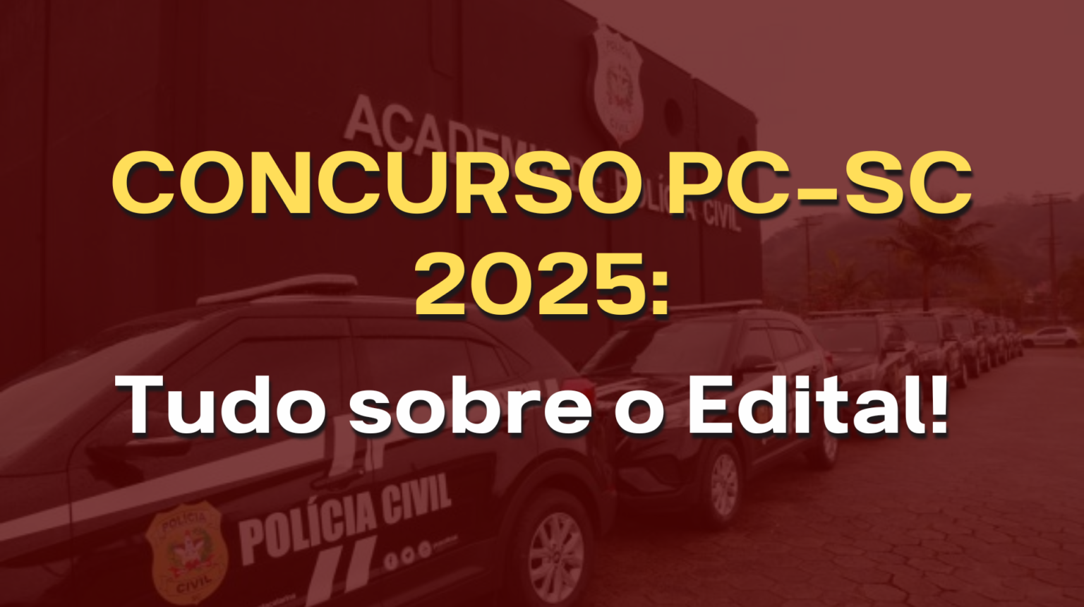 Concurso PC-SC 2025: edital publicado, provas e como se preparar ...